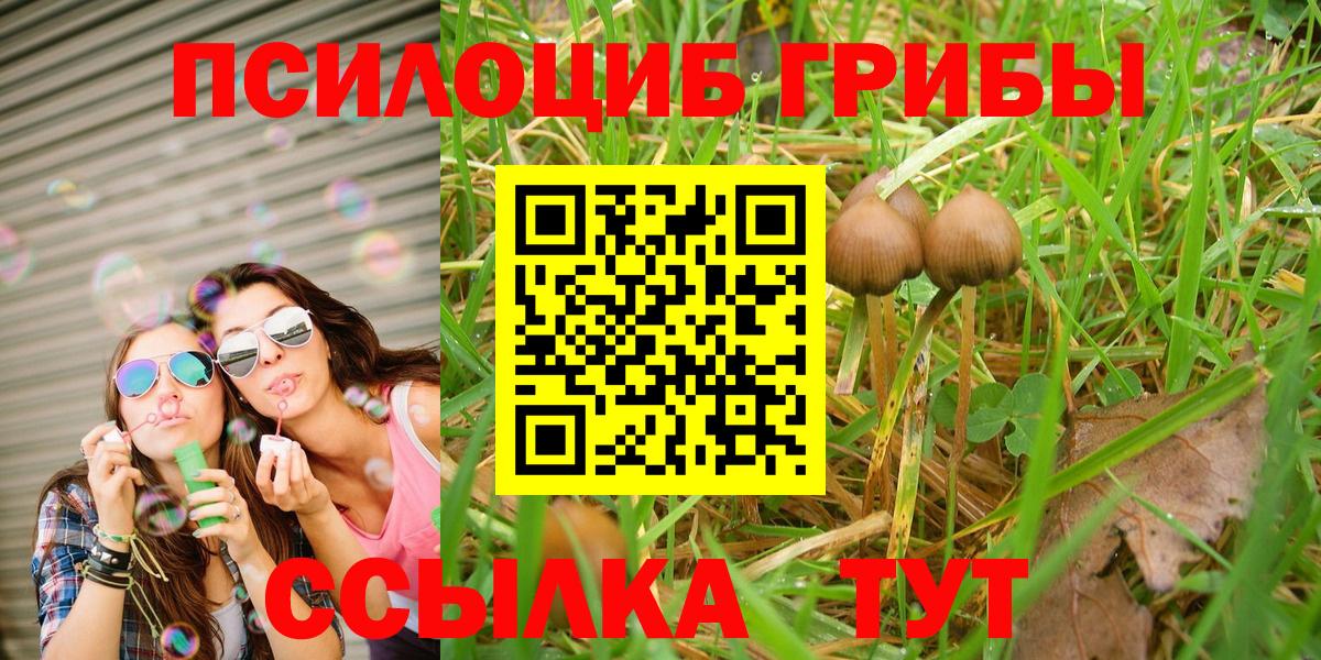наркошоп  Псилоцибиновые грибы Psilocybe  Вход с VPN  Клин 